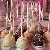 Cakepops, Sanelas Tortenwelt