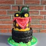 Motivtorte, der Traktor, Cake, Sanelas Tortenwelt, Bückeburg
