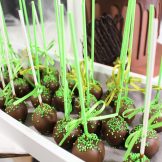 Cakepops, Sanelas Tortenwelt