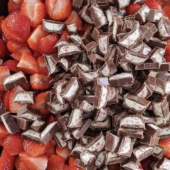 Sanelas Tortenwelt, Yoghurt Füllung (frische Erdbeeren mit Schokoladenriegel)