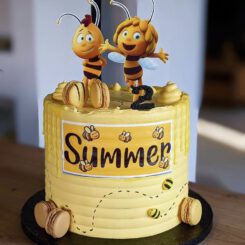 Sanelas Tortenwelt, Motivtorte, Kindergeburtstag