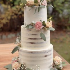 Sanelas Tortenwelt, Hochzeitstorten, Wedding Cakes, Vintage Wedding Cake, Vintage Hochzeitstorte, Semi Naked Wedding Cake, Naked Cake, Cupcakes, kunst, Bückeburg, Minden, Hannover, Bad Nenndorf, Bielefeld, Hameln, Rinteln, Uchte, Hof Frien, Stadthagen, Häserhof, Gasthof Vehlen, Altes Zollhaus, Brüngers Landwirtschaft, GOP Bad Oeynhausen, Häserhof, Hof von Laer, Hotel Bad Minden, Kaiser Wilhelm, Kloster Möllenbeck, Kupfersaal Petershagen, Morhoff Petershagen, Rittergut Remeringhausen, Scarabeo Minden, Schloss Bückeburg, Schloss Ovelgönne, Schloss von Hammerstein, Schäferhof Rusbend, Weserscheune Buchholz, Zum Wilden Schmied Bad Oeynhausen