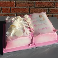 Die Kommunionstorte, das Buch, rosa, Sanelas Tortenwelt, Bückeburg