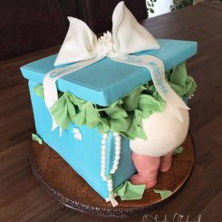 Die Tauftorte, Sanelas Tortenwelt