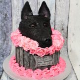 Der Hund, Torte, Motivtorte, Geburtstag, Sanelas Tortenwelt, Bückeburg