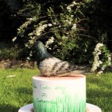 Motivtorte, der Vogel, Sanelas Tortenwelt, Zuckerfiguren essbar, Bückeburg