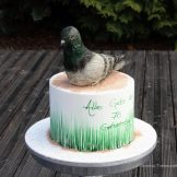 Motivtorte, der Vogel, Sanelas Tortenwelt, Zuckerfiguren essbar, Bückeburg