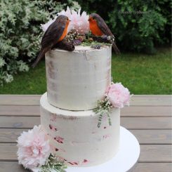 Semi-Naked Cake, Sanelas Tortenwelt, Zuckerfiguren essbar, Rotkehlchen, Hochzeitstorten, Wedding Cakes, Bückeburg47