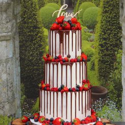 Drip Wedding Cake, Fruit Wedding Cake, Hochzeitstorte-Beeren, Semi-Naked Cake, Sanelas Tortenwelt, Hochzeitstorten, Vintage Wedding Cakes, Semi-Naked Wedding Cake, Elegant Wedding Cake, Cupcakes