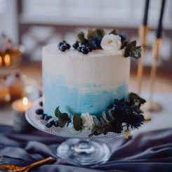 Winter Wedding Cake, Semi-Naked Wedding Cake, Blaubeeren, Sanelas Tortenwelt, Hochzeitstorten, Vintage Wedding Cakes, Elegant Wedding Cake, Cupcakes5