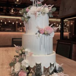 Sanelas Tortenwelt91